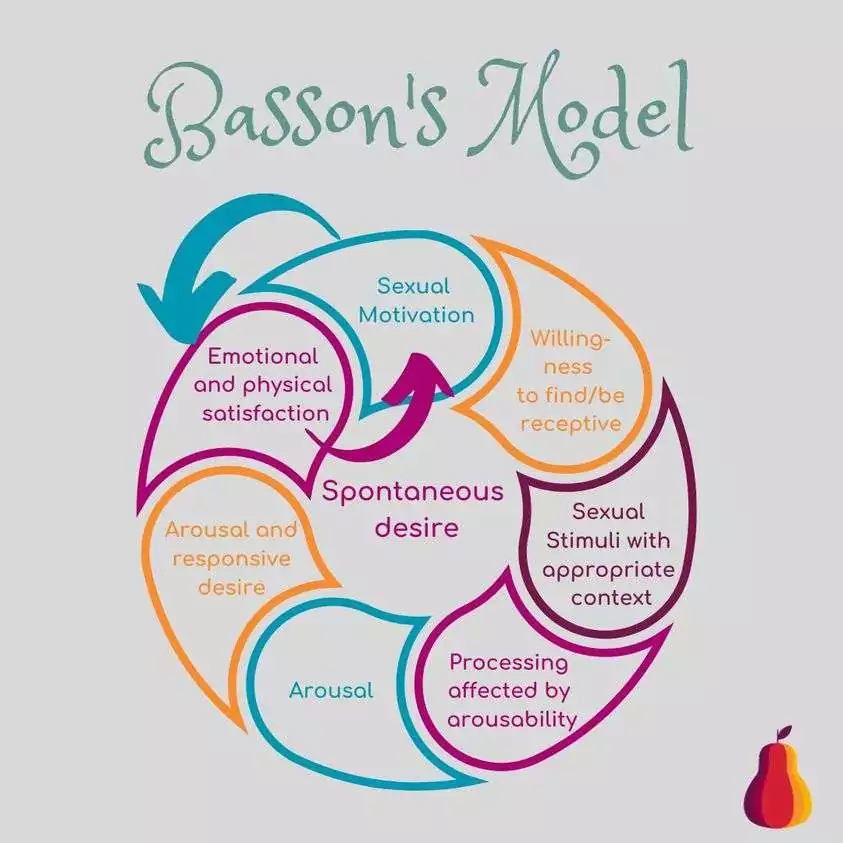 bassons model