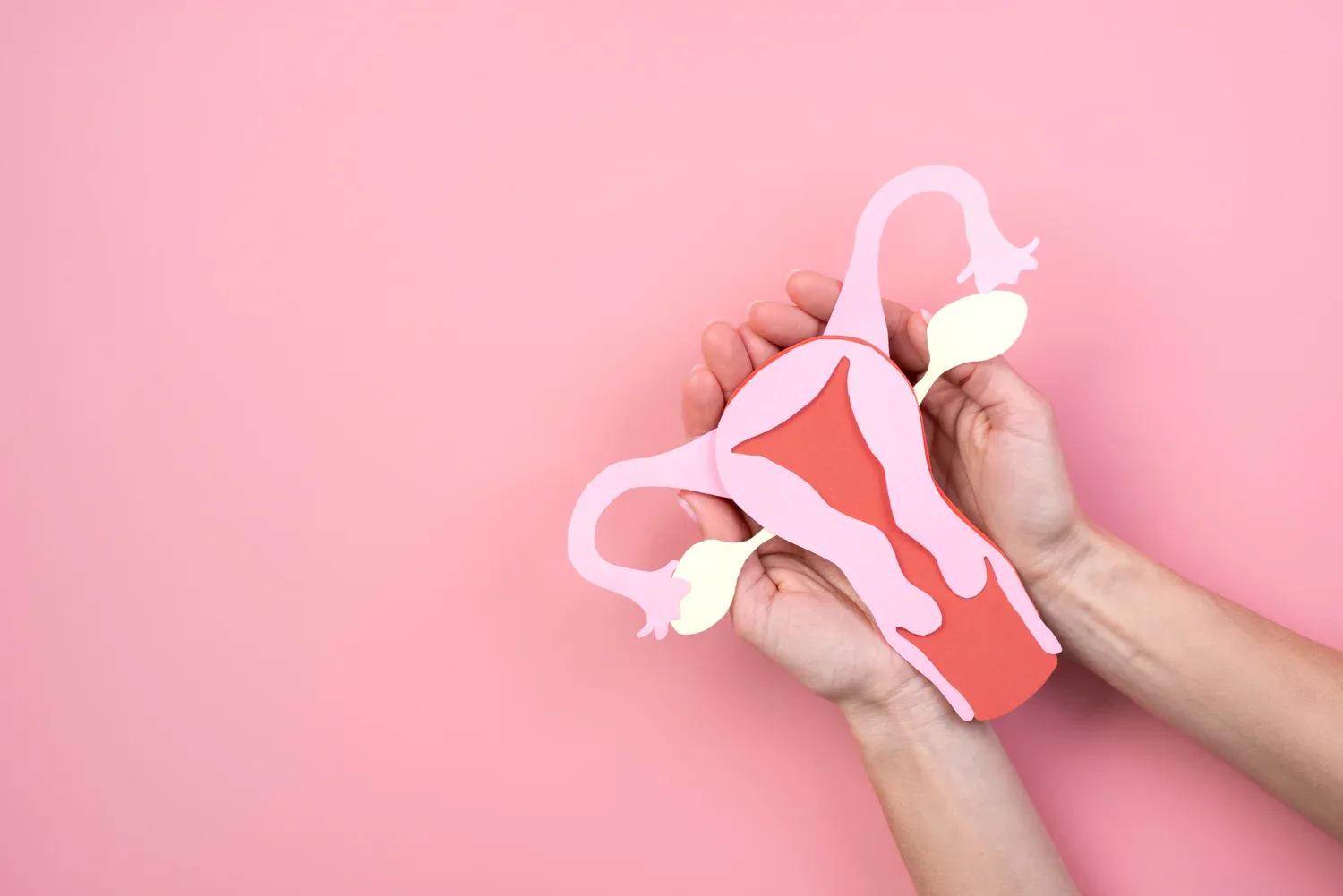 pelvic organ collapse and sex