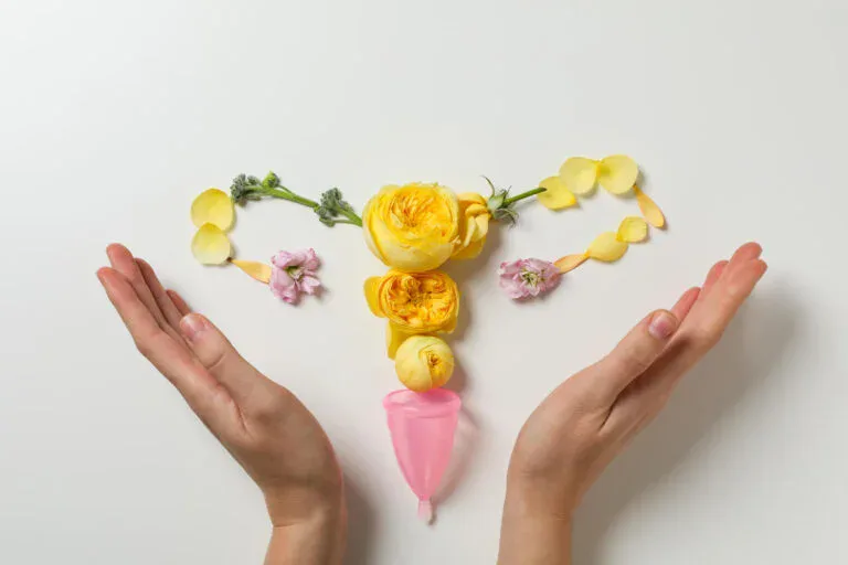 women s health women s healthcare concept with uterus