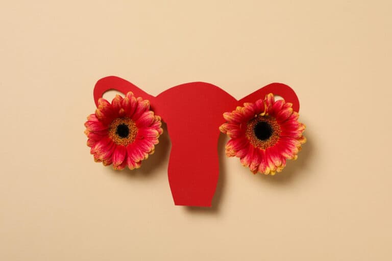 women s health women s healthcare concept with uterus (1)