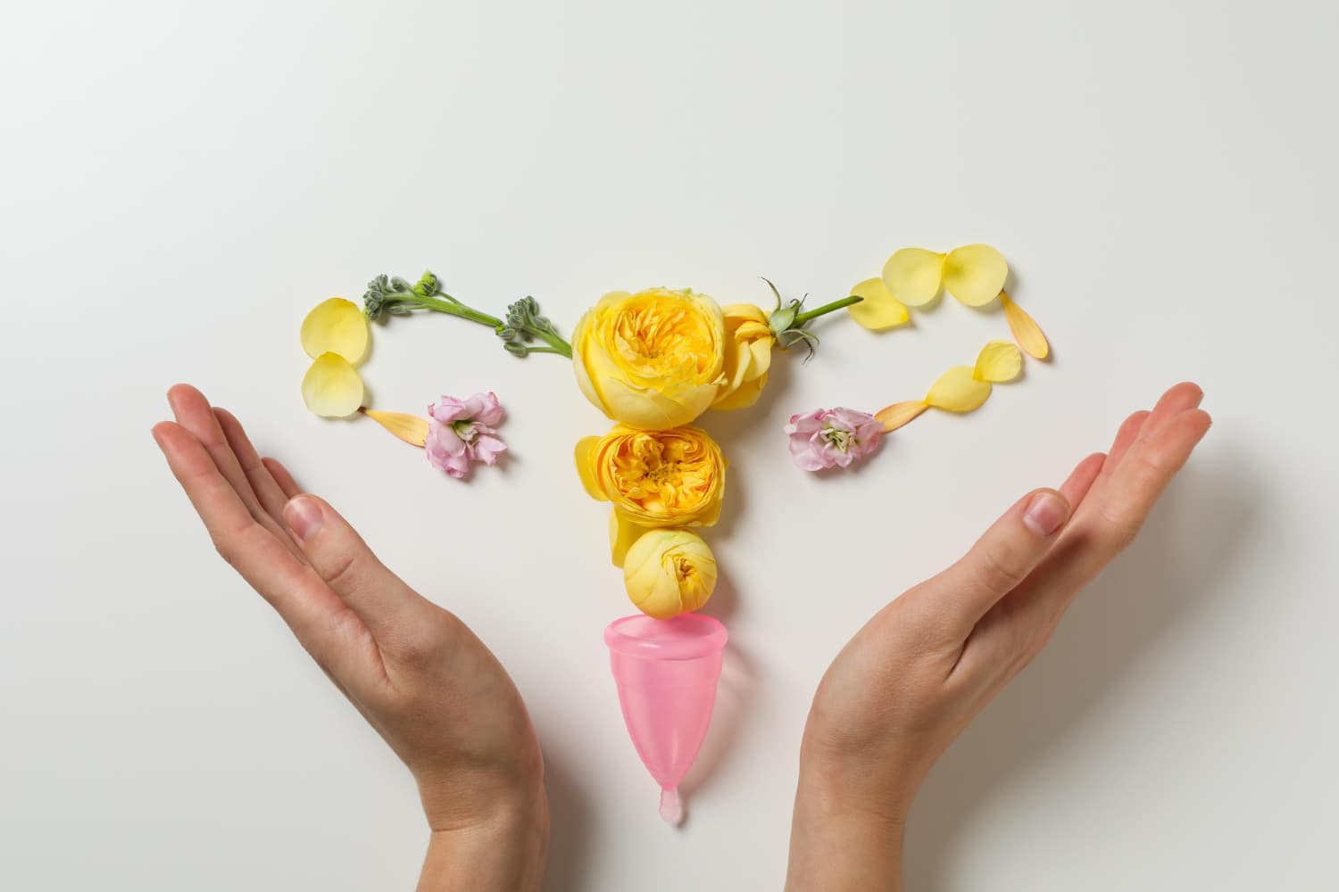 women s health women s healthcare concept with uterus