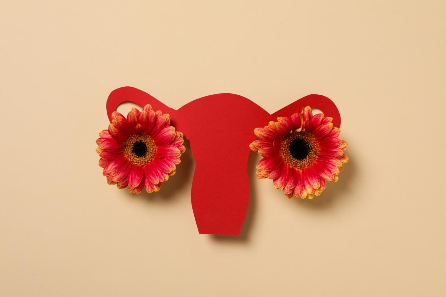 women s health women s healthcare concept with uterus (1)